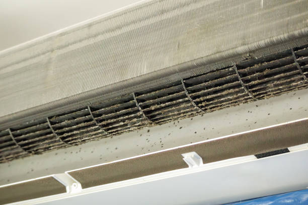 Best Professional Duct Cleaning Services  in Bear Creek, FL