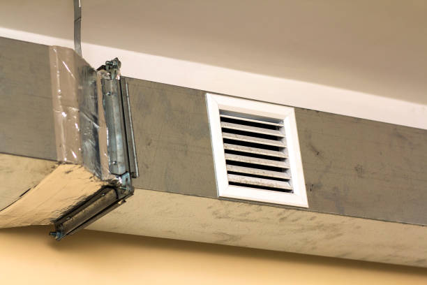 Best Air Duct Sanitizing Services  in Bear Creek, FL